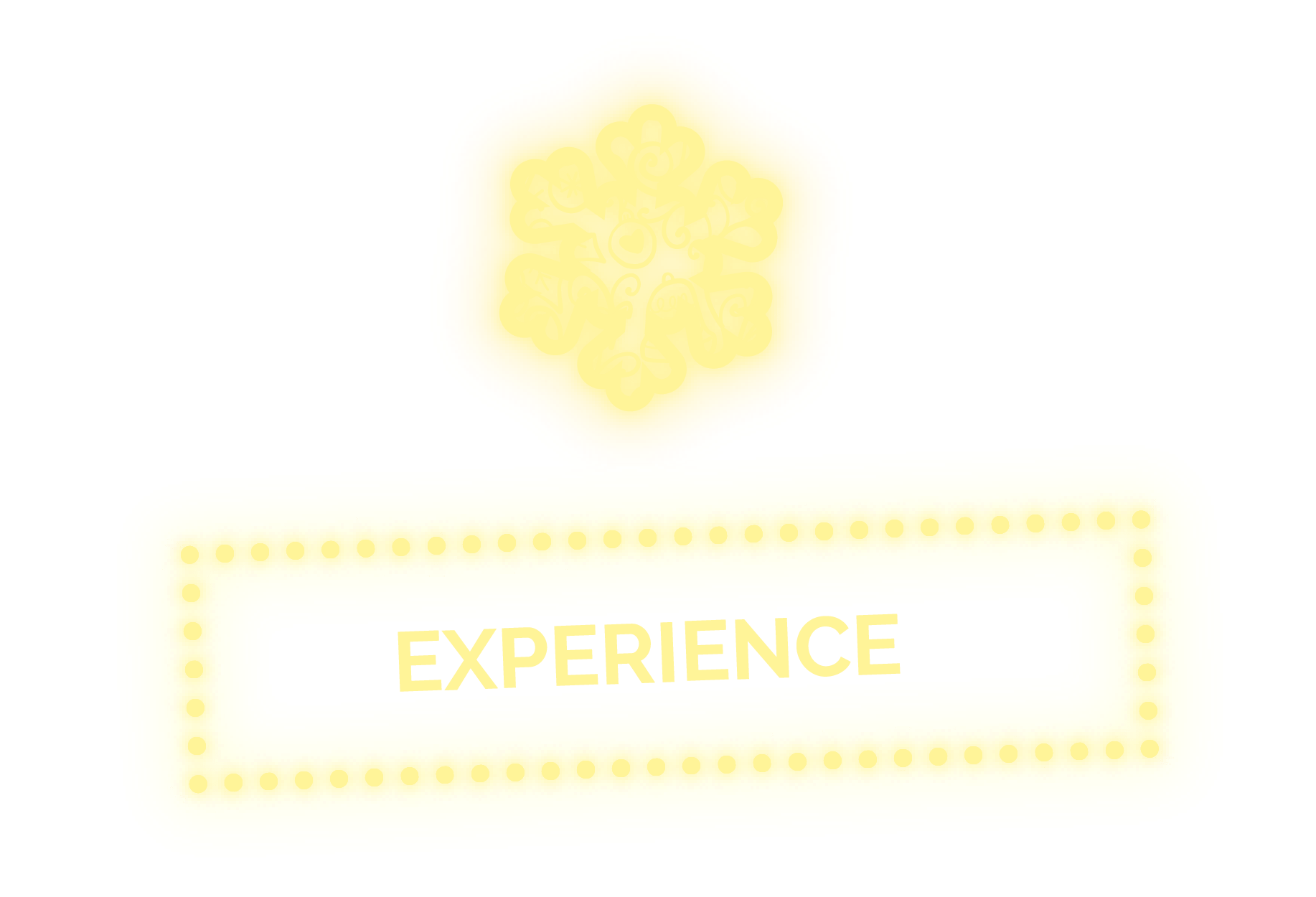 Experience